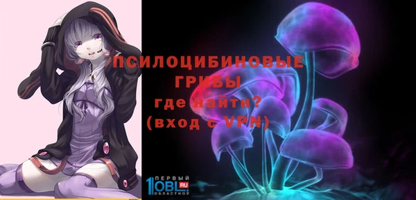 гидропоника Вяземский
