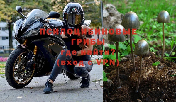 гидропоника Вяземский